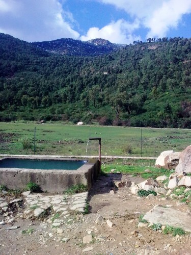 Photo nokia 6303c 120.jpg