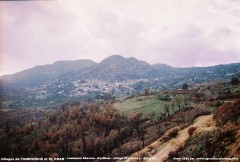 tigrourine elkrar.JPG