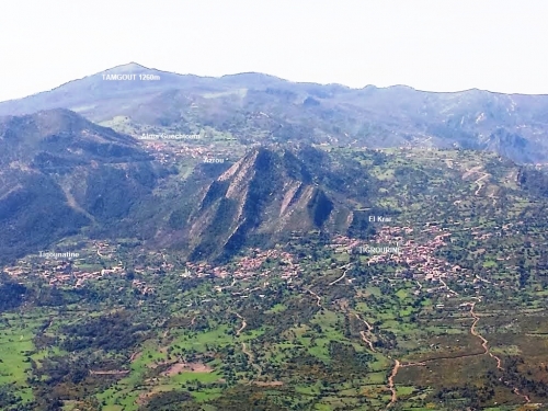 105175442BENI FLIK.jpg