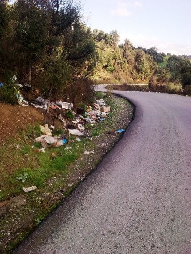 Photo nokia 6303c 117.jpg