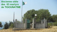 tigounatine stele.JPG